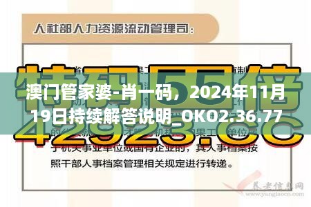 澳门管家婆-肖一码，2024年11月19日持续解答说明_OKO2.36.77原型