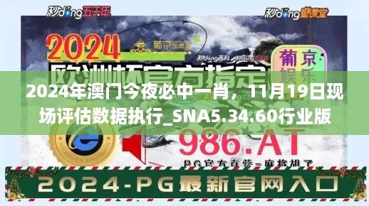 2024年澳门今夜必中一肖，11月19日现场评估数据执行_SNA5.34.60行业版