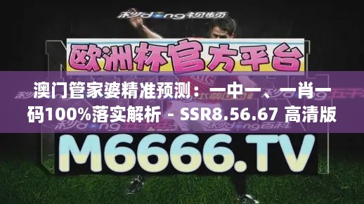 澳门管家婆精准预测：一中一、一肖一码100%落实解析 - SSR8.56.67 高清版