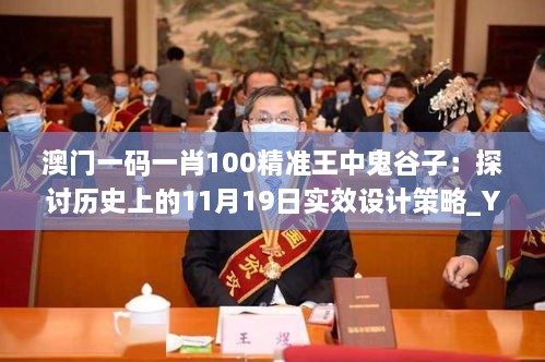 澳门一码一肖100精准王中鬼谷子：探讨历史上的11月19日实效设计策略_YJI2.78.79奢华版