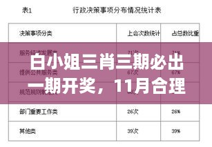 白小姐三肖三期必出一期开奖，11月合理化决策实施评审_XLW3.67.53商业版