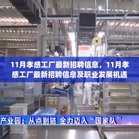 11月孝感工厂最新招聘信息及职业发展机遇解析