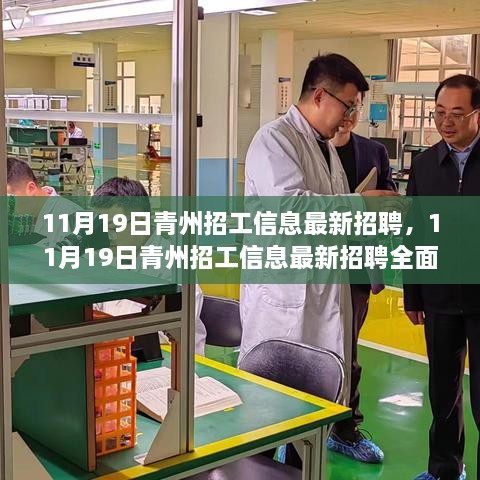 11月19日青州招工信息最新招聘详解与全面评测