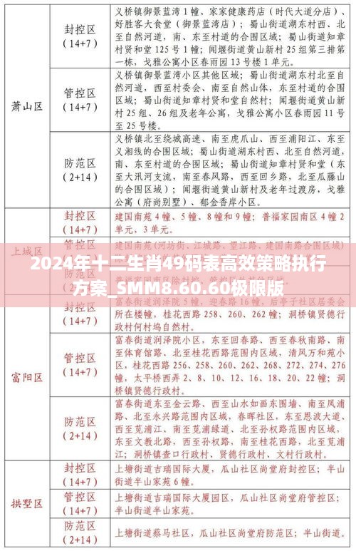 2024年十二生肖49码表高效策略执行方案_SMM8.60.60极限版