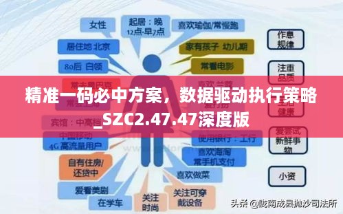 精准一码必中方案，数据驱动执行策略_SZC2.47.47深度版