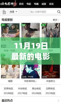 十一月十九日电影网站巨头深度解读，从创立至今的发展与影响