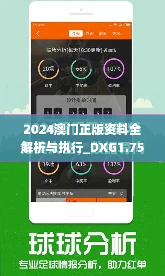 2024澳门正版资料全解析与执行_DXG1.75.66旗舰版