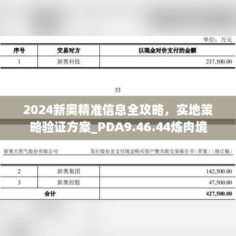 2024新奥精准信息全攻略，实地策略验证方案_PDA9.46.44炼肉境