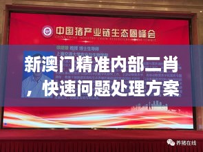 新澳门精准内部二肖，快速问题处理方案_DFA7.39.68桌面版