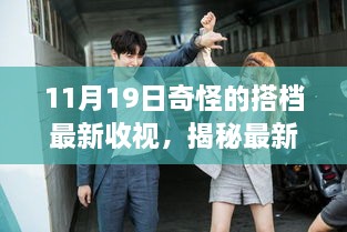 揭秘最新收视数据，掌握如何查看与分析奇怪搭档收视报告全攻略