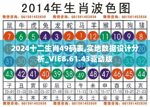 2024十二生肖49码表,实地数据设计分析_VIE8.61.43驱动版