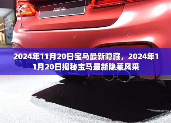 揭秘，宝马最新隐藏风采，2024年11月20日独家呈现