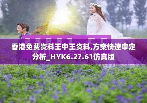 香港免费资料王中王资料,方案快速审定分析_HYK6.27.61仿真版