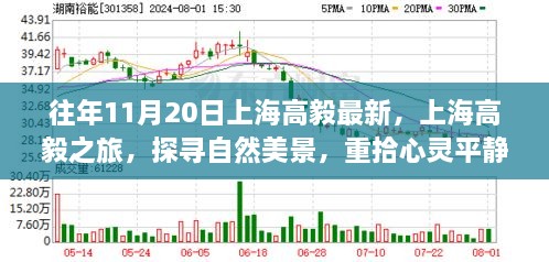 上海高毅之旅，探寻自然美景，心灵平静之旅的启示