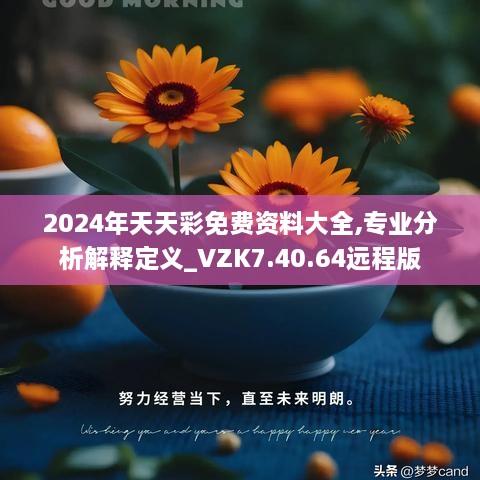 2024年天天彩免费资料大全,专业分析解释定义_VZK7.40.64远程版