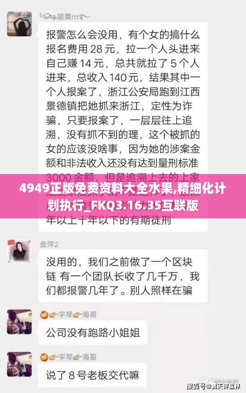 4949正版免费资料大全水果,精细化计划执行_FKQ3.16.35互联版