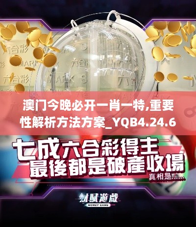 澳门今晚必开一肖一特,重要性解析方法方案_YQB4.24.67创新版