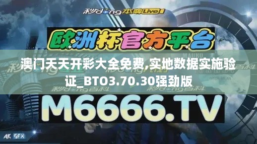 澳门天天开彩大全免费,实地数据实施验证_BTO3.70.30强劲版