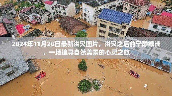 目不转睛 第27页