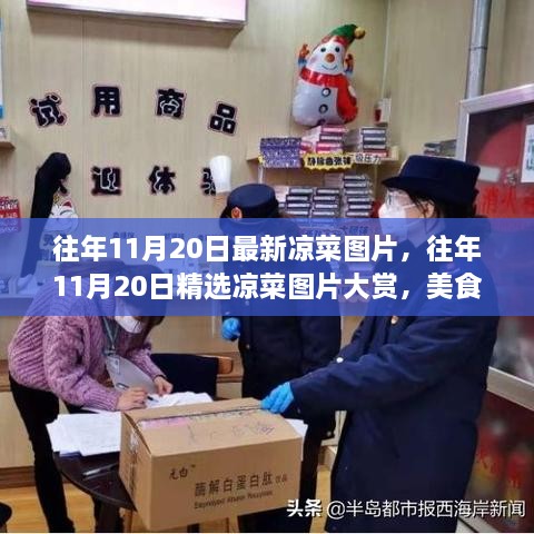 精选凉菜图片大赏，美食与视觉的双重盛宴——历年11月20日凉菜美图回顾