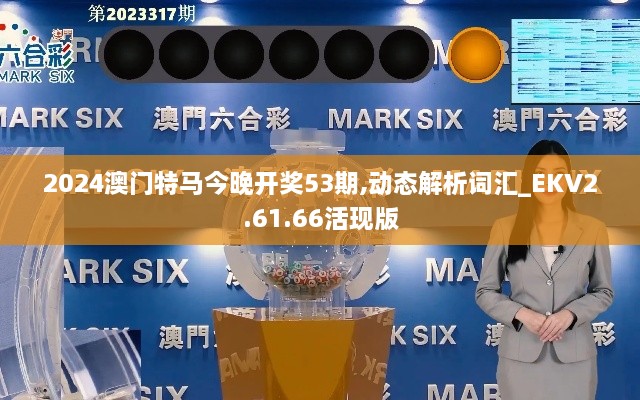 2024澳门特马今晚开奖53期,动态解析词汇_EKV2.61.66活现版
