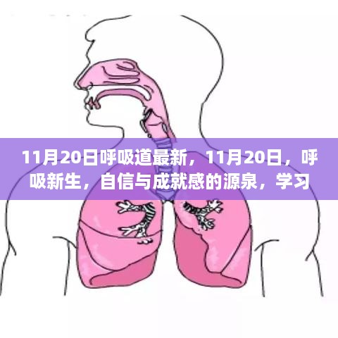11月20日呼吸道新生，励志奇迹与自信成就之源