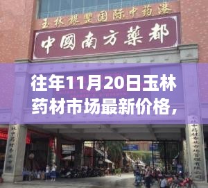 玉林药材市场独家揭秘，往年11月20日药材最新价格概览及市场动态分析