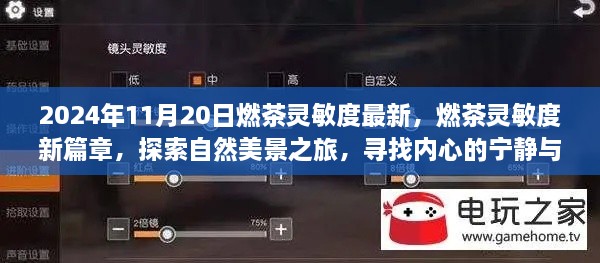 燃茶灵敏度新篇章，探索自然美景之旅，寻找内心宁静与平和的旅程（2024年11月20日最新资讯）
