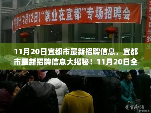 宜都市最新招聘动态揭秘，全新岗位挑战，职场新动向小红书热推！