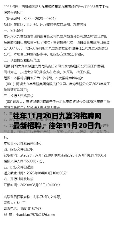 往年11月20日九寨沟招聘网最新招聘详解与求职全攻略