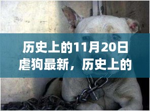 历史上的11月20日，从虐狗到自信的心灵蜕变之路