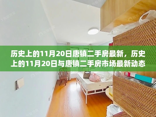 张牙舞爪 第28页
