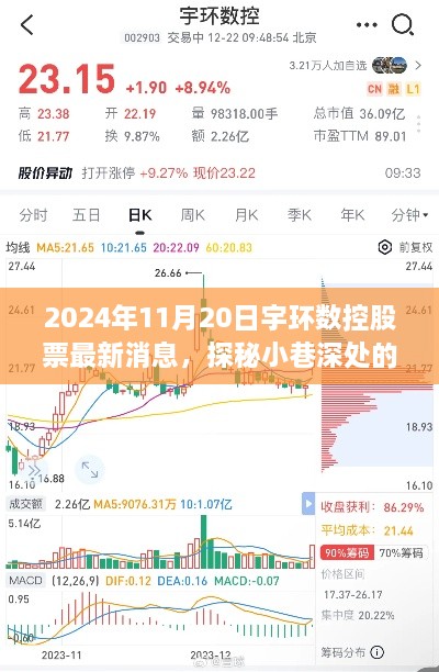 宇环数控股票最新动态与美食奇缘，探秘宝藏股票与小巷深处的隐藏美食
