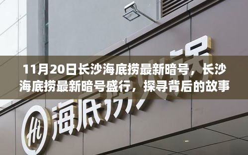长沙海底捞最新暗号盛行，背后的故事与影响探寻