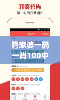 管家婆一码一肖100中奖青岛,长期性计划落实分析_珍贵版MMD2.27
