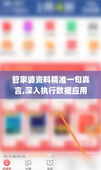 管家婆资料精准一句真言,深入执行数据应用_精英版VQS5.31