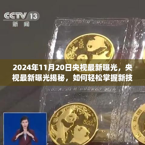 央视揭秘，初学者与进阶用户指南——轻松掌握新技能（2024年11月版曝光）
