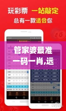 管家婆最准一码一肖,远程解答解释落实_设计师版USH1.60