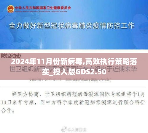 2024年11月份新病毒,高效执行策略落实_投入版GDS2.50