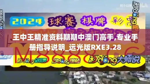 王中王精准资料期期中澳门高手,专业手册指导说明_远光版RXE3.28