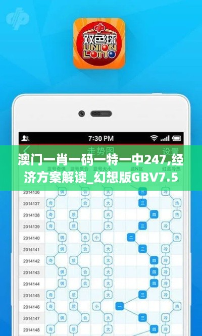 澳门一肖一码一特一中247,经济方案解读_幻想版GBV7.52