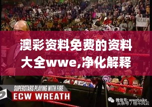 澳彩资料免费的资料大全wwe,净化解释落实解答_闪电版FKN2.17