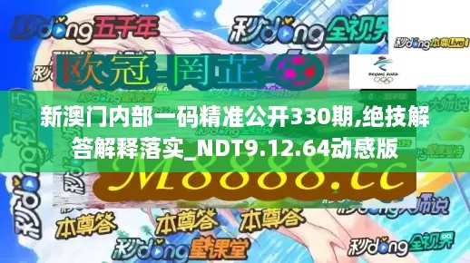 新澳门内部一码精准公开330期,绝技解答解释落实_NDT9.12.64动感版