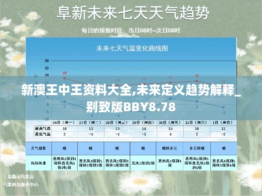 新澳王中王资料大全,未来定义趋势解释_别致版BBY8.78