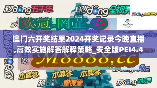 澳门六开奖结果2024开奖记录今晚直播,高效实施解答解释策略_安全版PEI4.41