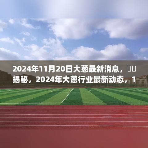独家解析，揭秘2024年大葱行业最新动态与独家消息