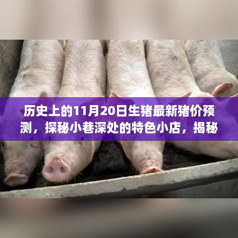 眉开眼笑 第25页