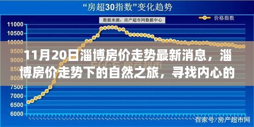 淄博房价走势揭秘，诗意碰撞自然之旅，探寻内心宁静与最新消息
