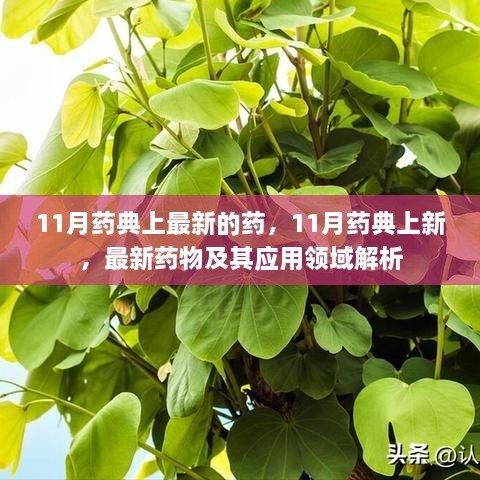 11月药典最新药物解析，新药亮相及其应用领域探讨