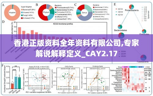 香港正版资料全年资料有限公司,专家解说解释定义_CAY2.17